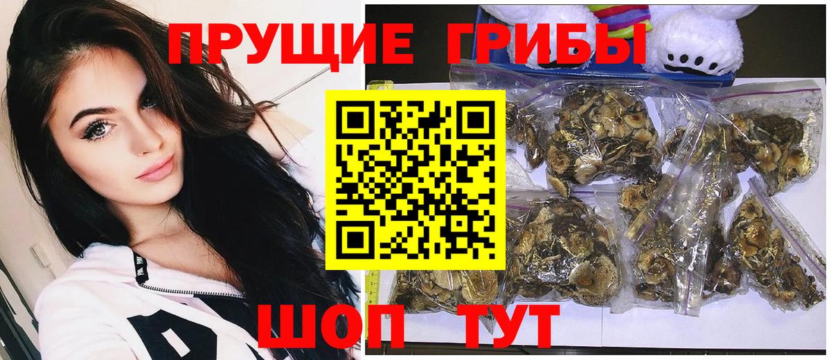 Псилоцибиновые грибы MAGIC MUSHROOMS Всеволожск