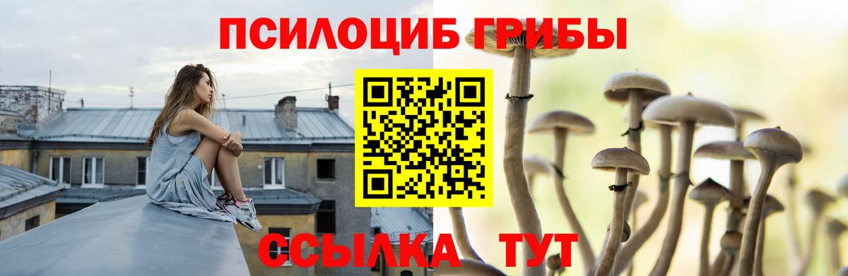 Псилоцибиновые грибы GOLDEN TEACHER  Вход с VPN  Всеволожск 